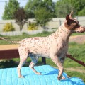 WUDNWAY SPAYK WUDNWAY SPAYK