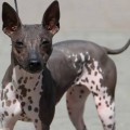 CHARLOTTE CITY PUNTO VALENTINO CHARLOTTE CITY PUNTO VALENTINO