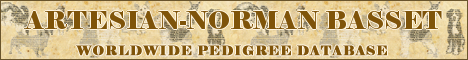 DogsFiles.com - databases of all dog's breeds.