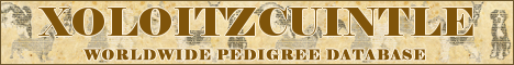 DogsFiles.com - databases of all dog's breeds.