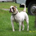 LEIST'S CARLY