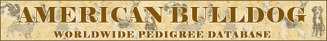 DogsFiles.com - databases of all dog's breeds.