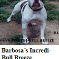BARBOSA'S INCREDI-BULL  BREEZE