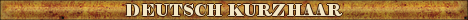 DogsFiles.com - databases of all dog's breeds.
