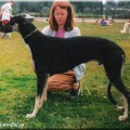 BOHUN CELERRIMUS
