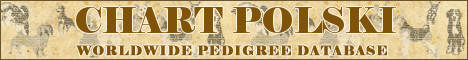 DogsFiles.com - databases of all dog's breeds.