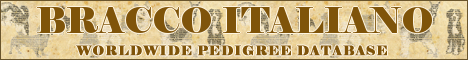 DogsFiles.com - databases of all dog's breeds.