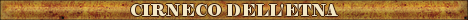 DogsFiles.com - databases of all dog's breeds.