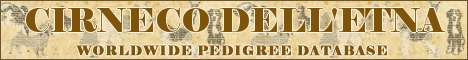 DogsFiles.com - databases of all dog's breeds.