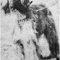RANI EL KABUL