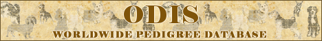 DogsFiles.com - databases of all dog's breeds.