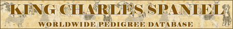 DogsFiles.com - databases of all dog's breeds.