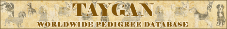 DogsFiles.com - databases of all dog's breeds.
