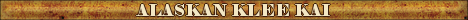 DogsFiles.com - databases of all dog's breeds.