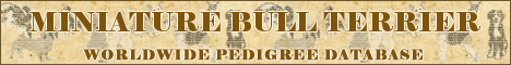 DogsFiles.com - databases of all dog's breeds.