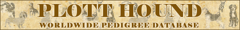 DogsFiles.com - databases of all dog's breeds.