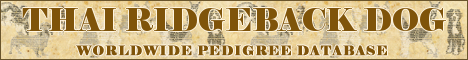 DogsFiles.com - databases of all dog's breeds.