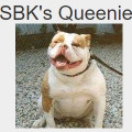 SBK'S QUEENIE