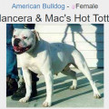 MANCERA & MAC'S HOT TOTTY