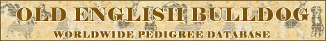 DogsFiles.com - databases of all dog's breeds.