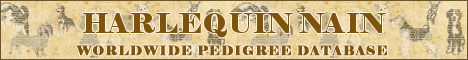 DogsFiles.com - databases of all dog's breeds.