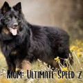 ULTIMATE SPEED Z GIPOVA