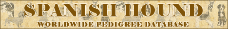 DogsFiles.com - databases of all dog's breeds.
