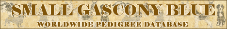 DogsFiles.com - databases of all dog's breeds.