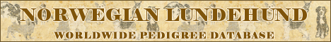 DogsFiles.com - databases of all dog's breeds.