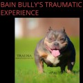 BAIN BULLY'S TRAUMATIC EXPERIENCE