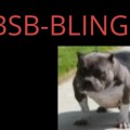 WKKBSB-BLING-BLING