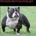 GERSEYBULLYCAMP PHATY GIRL