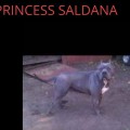 PRINCESS SALDANA