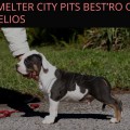 SMELTER CITY PITS BESTRO OF HELIOS