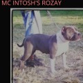 MC INTOSH'S ROZAY
