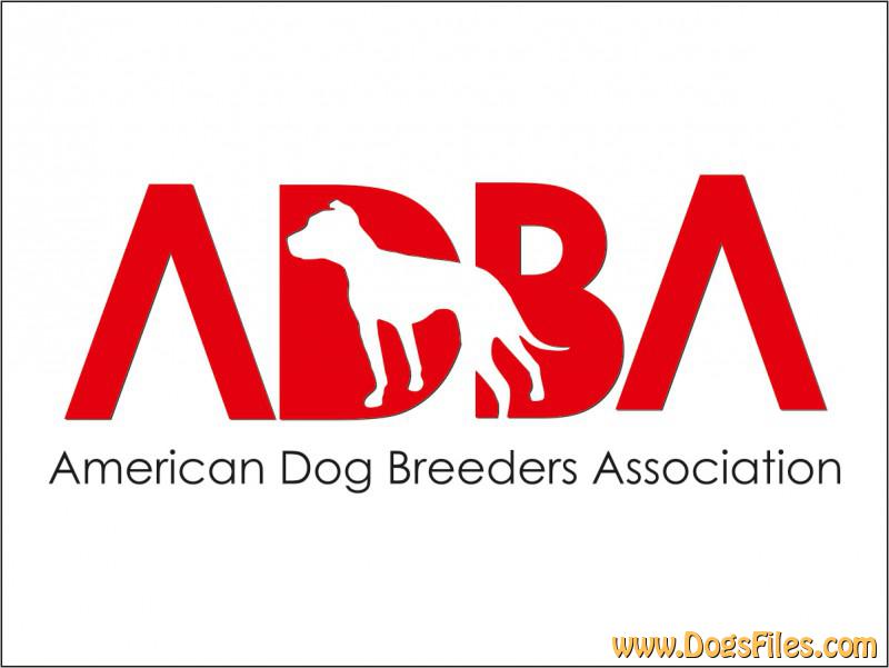 Pedigree database American Bully