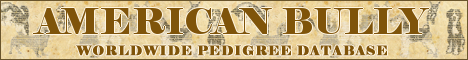 DogsFiles.com - databases of all dog's breeds.