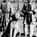 MALIK OF GHAZNI