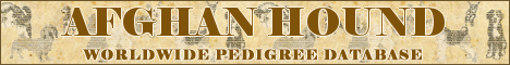 DogsFiles.com - databases of all dog's breeds.