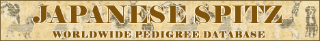DogsFiles.com - databases of all dog's breeds.