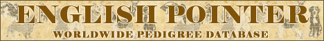 DogsFiles.com - databases of all dog's breeds.