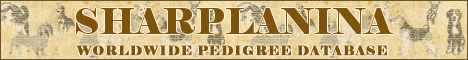 DogsFiles.com - databases of all dog's breeds.
