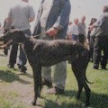BARON