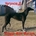 VLADA - FAM -FATAL'