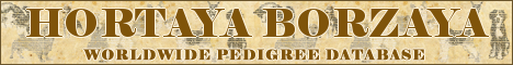 DogsFiles.com - databases of all dog's breeds.