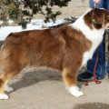 MOONBABY'S ALL AMERICAN GIRL NBT