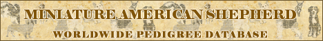 DogsFiles.com - databases of all dog's breeds.