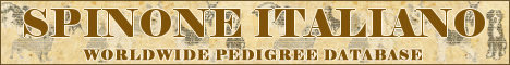 DogsFiles.com - databases of all dog's breeds.
