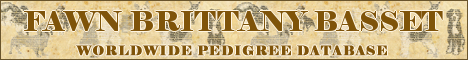 DogsFiles.com - databases of all dog's breeds.