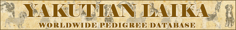 DogsFiles.com - databases of all dog's breeds.